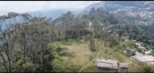 Caracas, Distrito Capital 1030, Venezuela