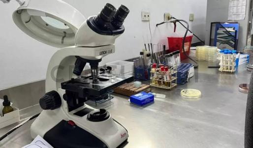 Caracas, Miranda 1060, 委內瑞拉