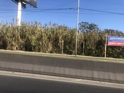 Cabo Chioffi 6000, Avellaneda, GBA Sur 00001, Argentina