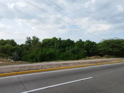 Barcelona, Anzoategui 6001, Venezuela