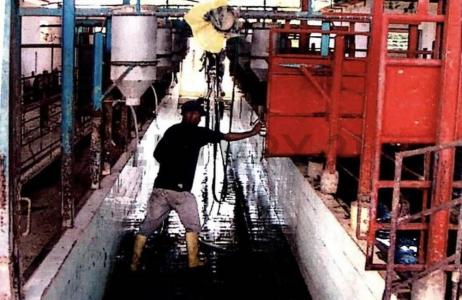 Tucacas, Falcón 2055, 베네수엘라