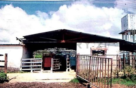 Tucacas, Falcón 2055, 베네수엘라