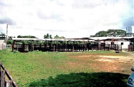 Tucacas, Falcón 2055, 베네수엘라