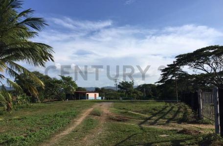 Tucacas, Falcón 2055, 베네수엘라