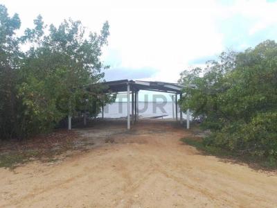 Tucacas, Falcón 2055, Venezuela