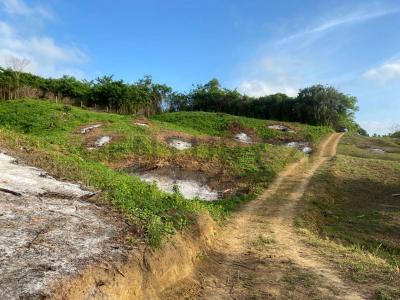 Chichiriviche, Falcón 2060, Venezuela