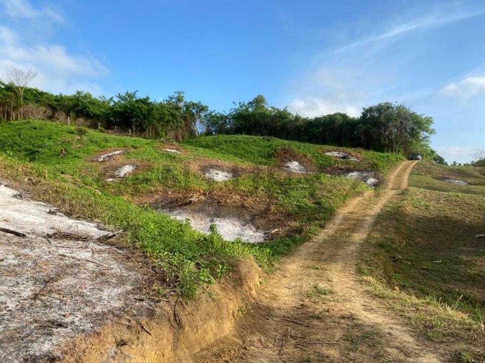 Chichiriviche, Falcón 2060, Venezuela