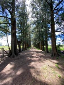 Exaltación De La Cruz, GBA Norte 1631, Argentyna