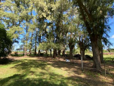 Exaltación De La Cruz, GBA Norte 1631, Argentina