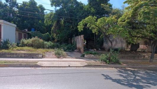 Porlamar, Nueva Esparta 6301, Venezuela