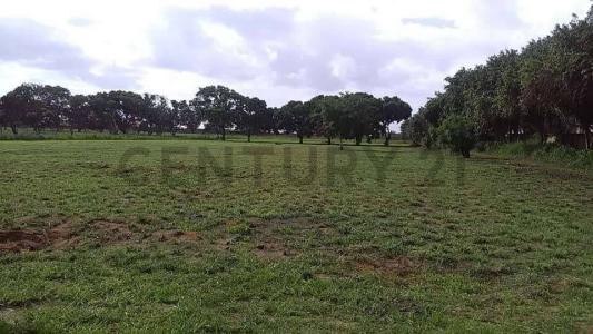 El Tigre, Anzoategui 6050, Венесуэла