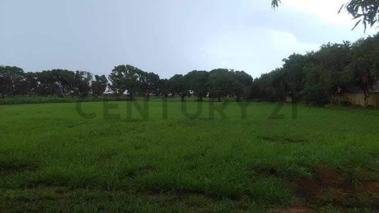 El Tigre, Anzoategui 6050, Венесуэла