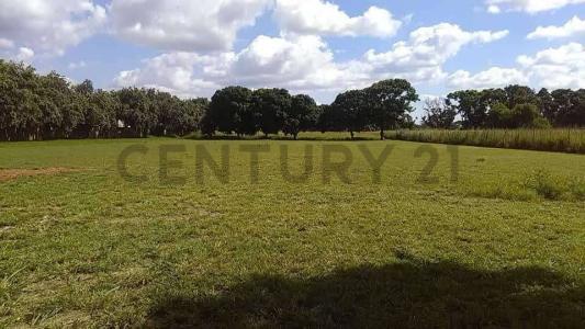 El Tigre, Anzoategui 6050, Венесуэла