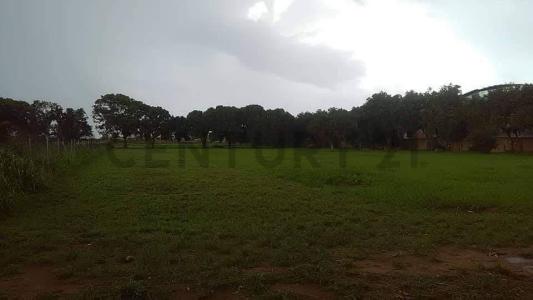 El Tigre, Anzoategui 6050, Венесуэла