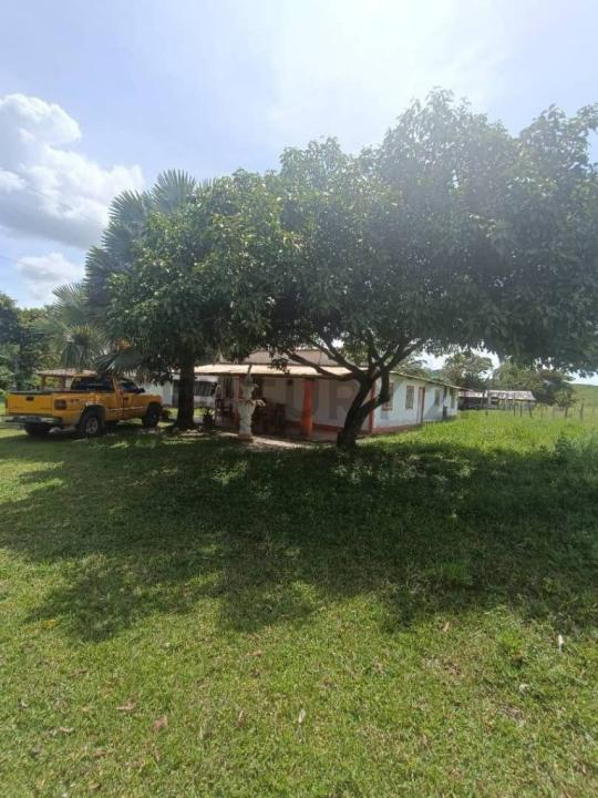 San Rafael Del Piñal, Táchira 5001, Venezuela