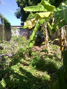 Cumaná, Sucre 6101, Venezuela