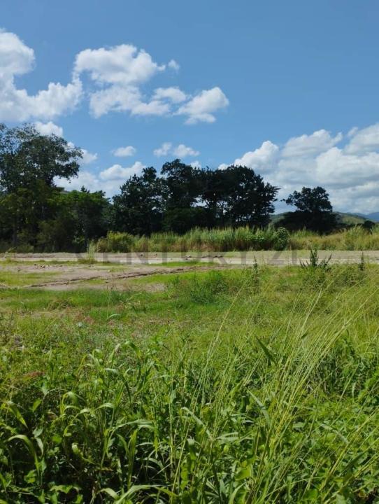 San Diego, Carabobo 2001, Venezuela