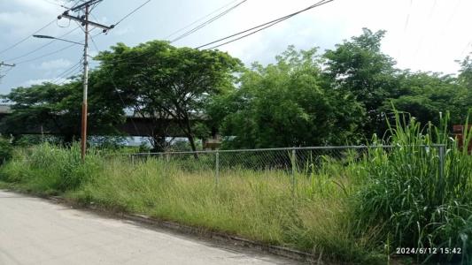 San Diego, Carabobo 2001, Venezuela