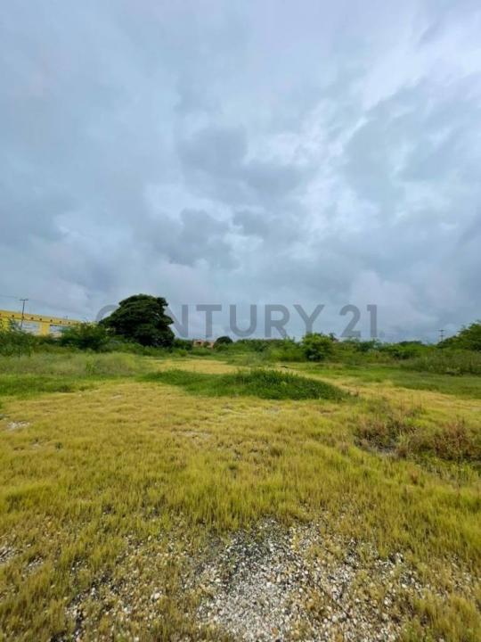 San Diego, Carabobo 2001, Venezuela