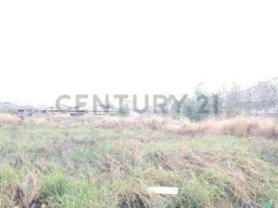 Valencia, Carabobo 2001, Venezuela