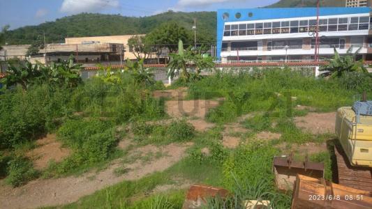 San Diego, Carabobo 2006, Venezuela