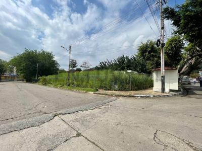 San Diego, Carabobo 2006, Venezüella