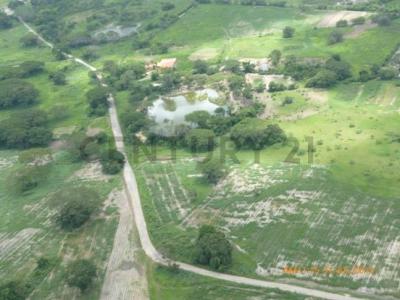 San Diego, Carabobo 2003, Venezuela
