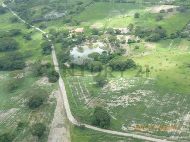 San Diego, Carabobo 2003, Venezuela