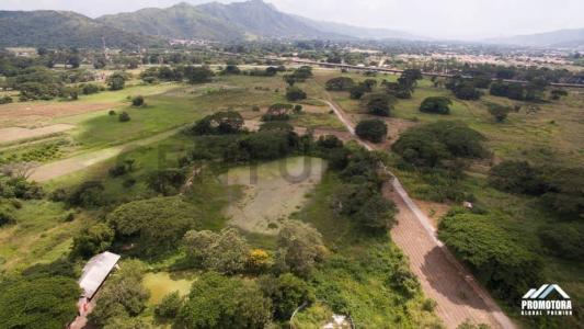 San Diego, Carabobo 2003, Venezuela