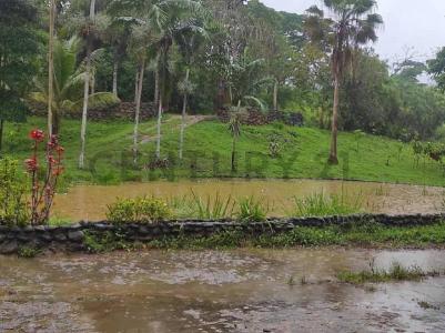 Tucacas, Falcón 4101, Venezuela