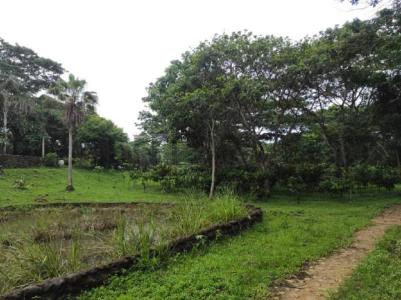 Tucacas, Falcón 4101, Venezuela