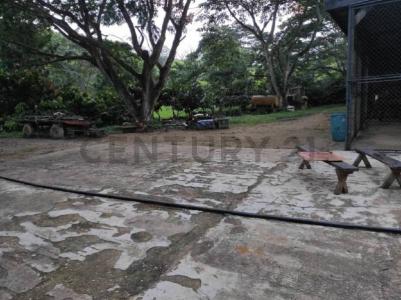 Tucacas, Falcón 4101, Venezuela