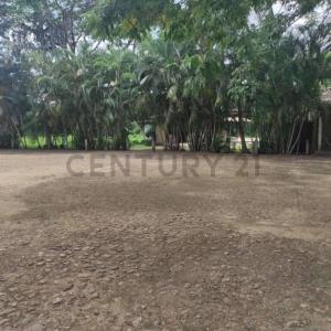 Tucacas, Falcón 4101, Venezuela