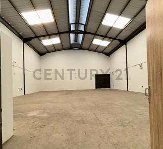 Naguanagua, Carabobo 2005, 베네수엘라