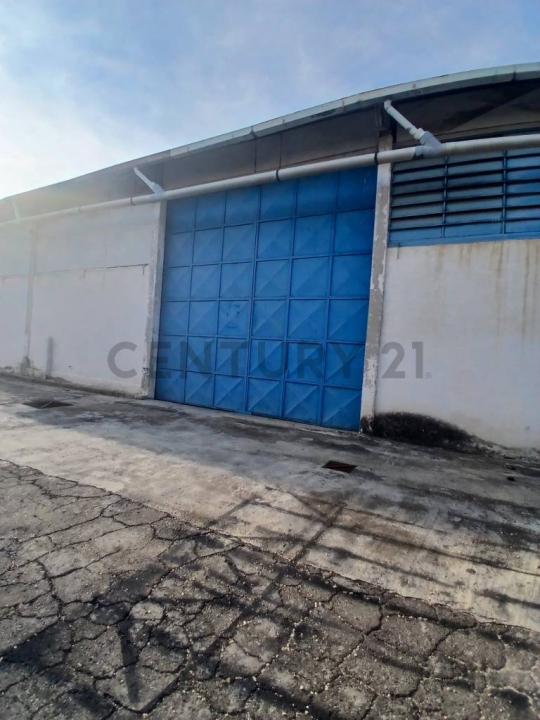 Valencia, Carabobo 00001, Venezuela