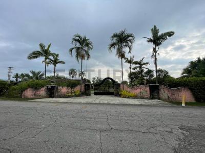 Tocuyito, Carabobo 2035, Venzuela