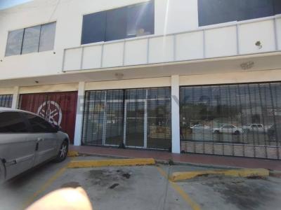 Porlamar, Nueva Esparta 6301, Venezuela