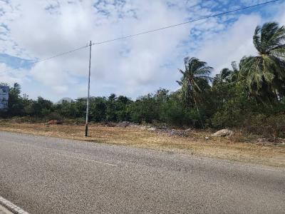 La Asunción, Nueva Esparta 6311, Venezuela