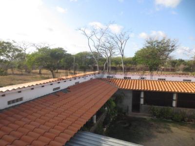 Tucacas, Falcón 00001, Venezuela