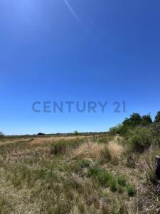 La Plata, GBA Sur 1900, 아르헨티나