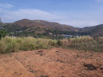 "June Valley", National Capital District, Papua New Guinea