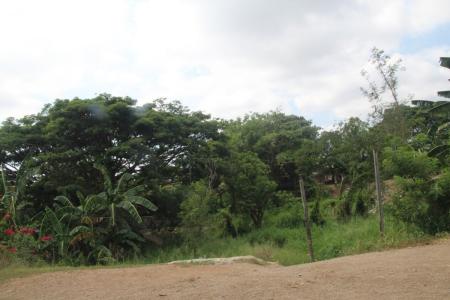 Gerehu, National Capital District, 파푸아 뉴기니