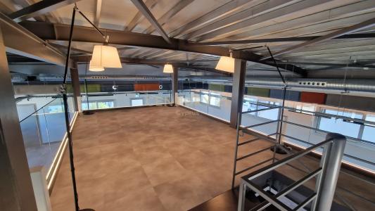 Kato Polemidia, 키프로스