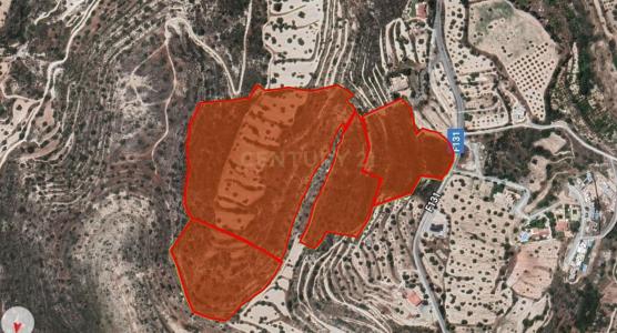 Fasoula Lemesou, Cyprus