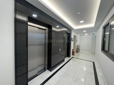 Limassol City, קפריסין 