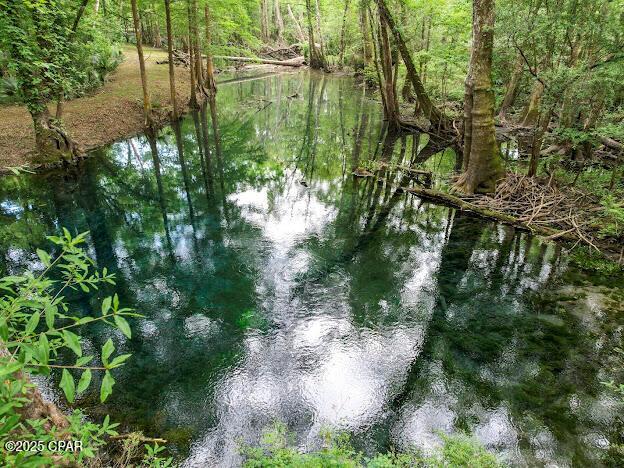 79 Highway, Vernon, Florida 32462, HOA KỲ