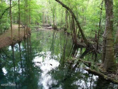 79 Highway, Vernon, Florida 32462, HOA KỲ