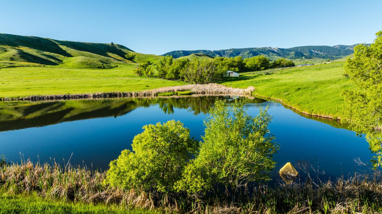 42 Shepards Road, Big Horn, ויומינג 82833, ארצות הברית של אמריקה