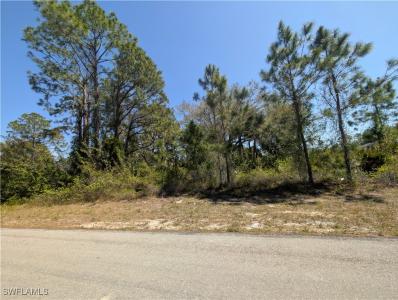 3700 Elaine Avenue N, Lehigh Acres, Floryda 33971, USA