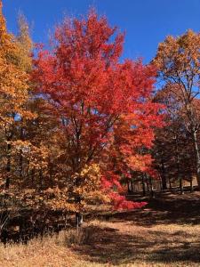 217 A Day Dream Drive, Dunlap, Tennessee 37327, États-Unis